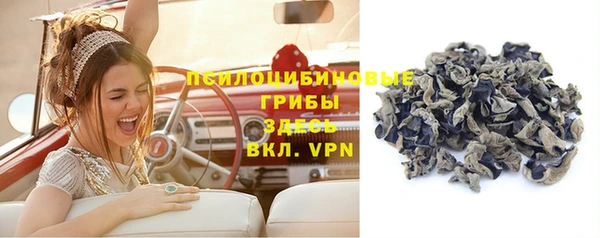 mdpv Медвежьегорск