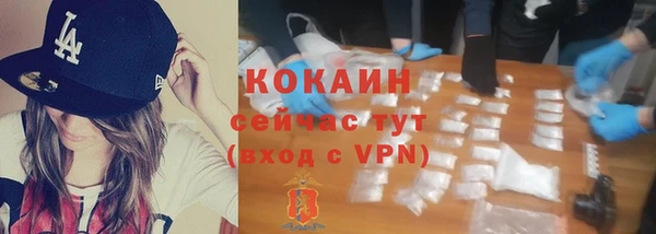 mdpv Медвежьегорск