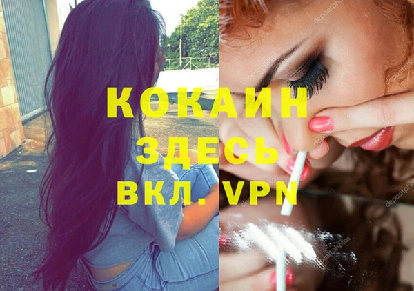 mdpv Медвежьегорск