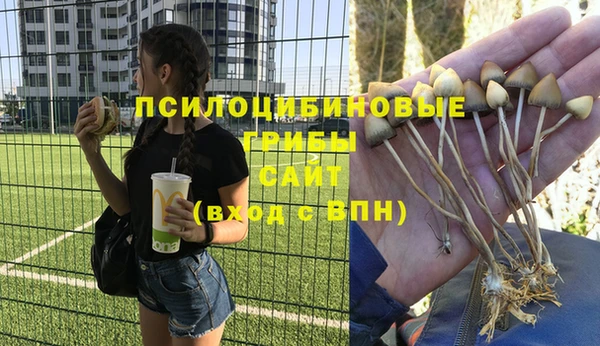 мдпв Магадан