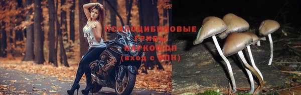 скорость Мегион