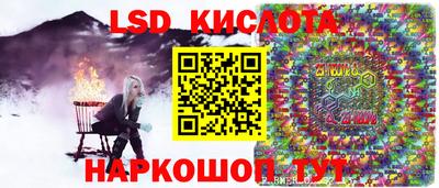 PSILOCYBIN Гусев