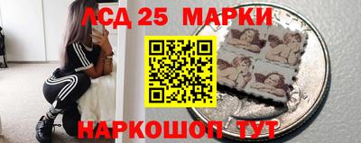 гашик Аргун