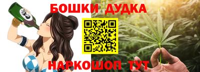 гашик Аргун