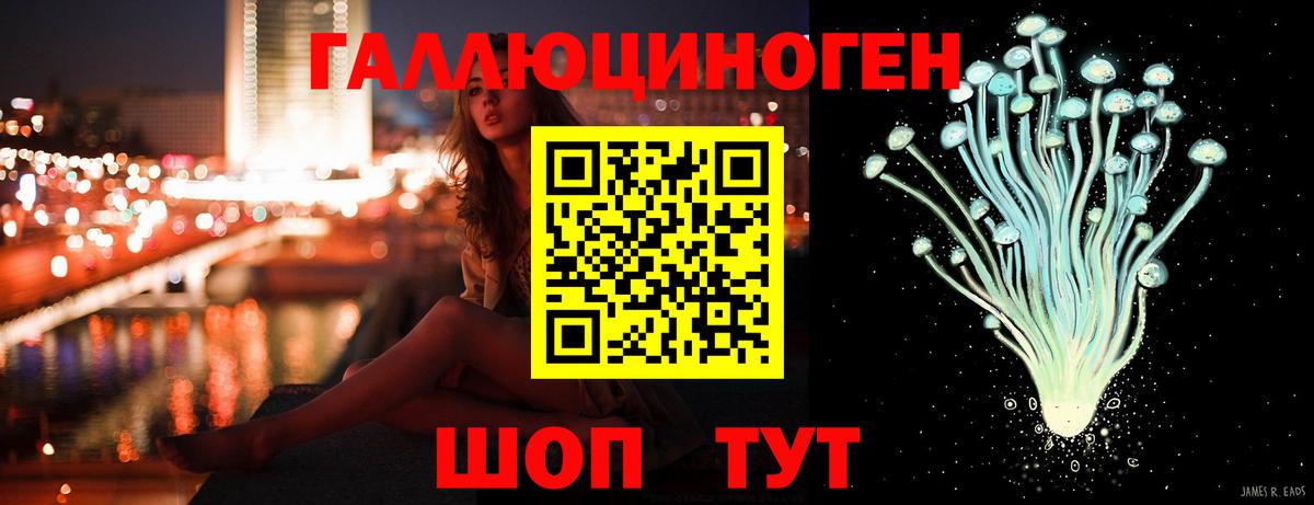 Галлюциногенные грибы Cubensis Новотроицк