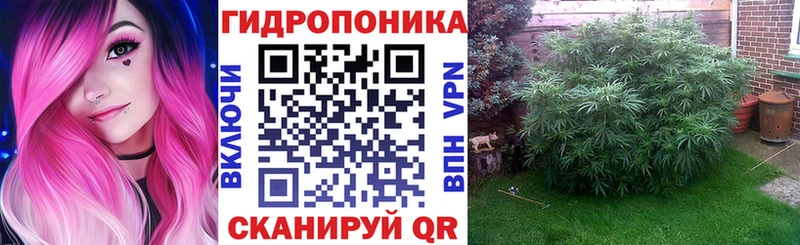 где найти   Новотроицк  Каннабис ГИДРОПОН 